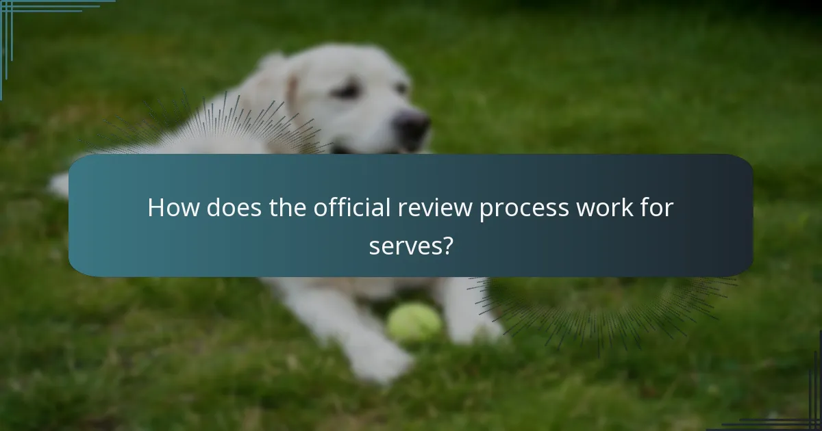 How does the official review process work for serves?